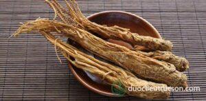 đương quy